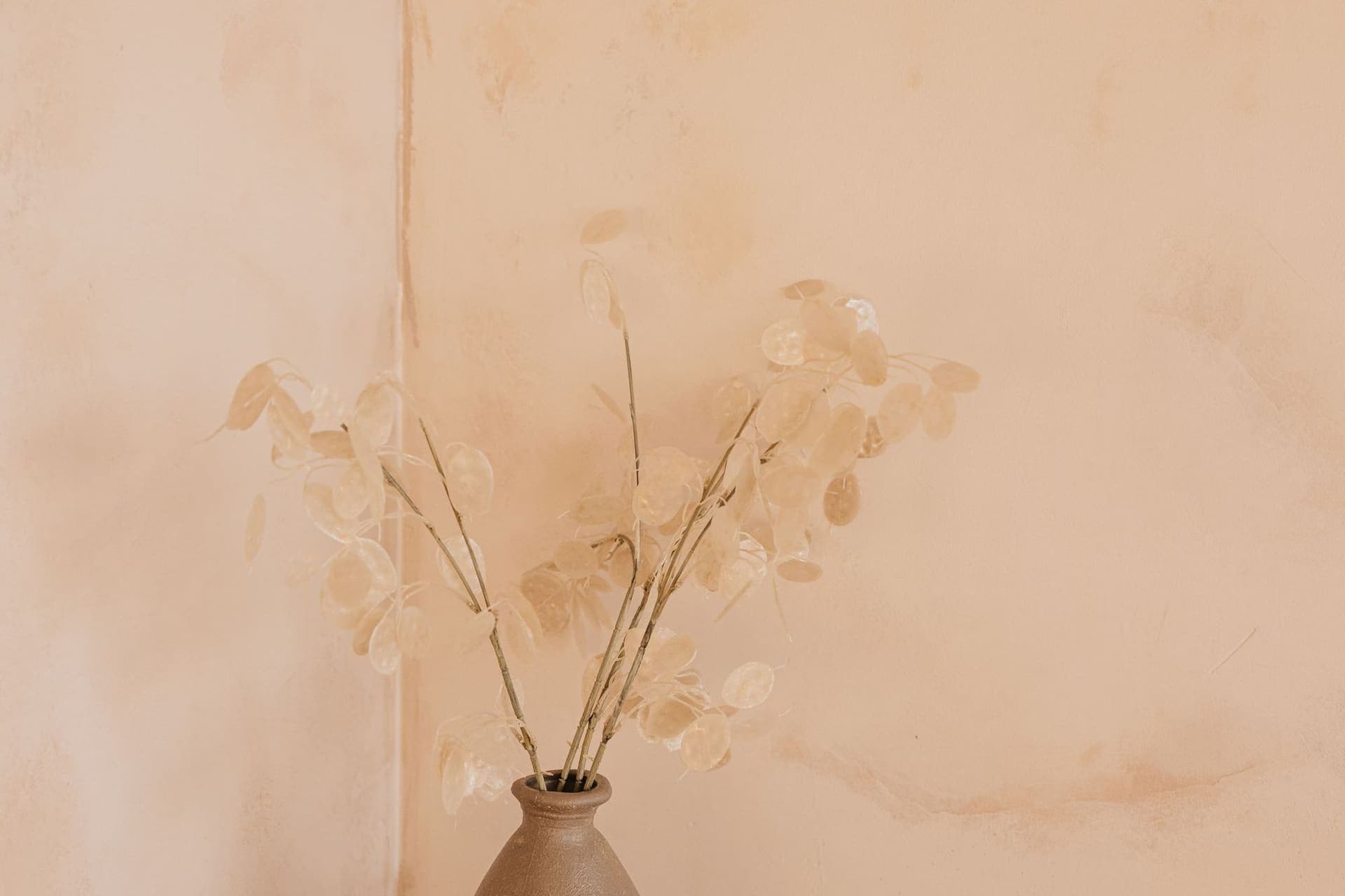 Soft peach limewash wall with a vase of dried branches
